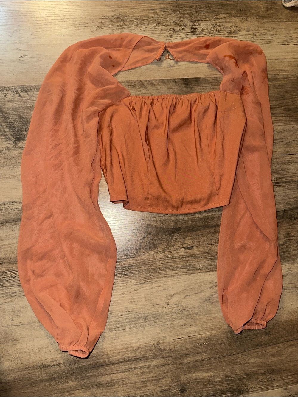 Express Rust Orange Off-Shoulder Crop Top with Sheer Balloon Sleeves
